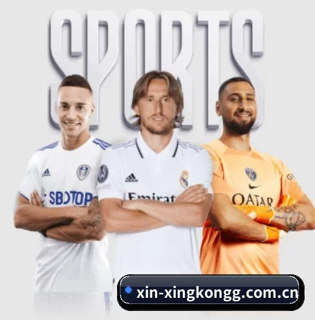 每个板块围绕一个运动项目展开 | xingkong